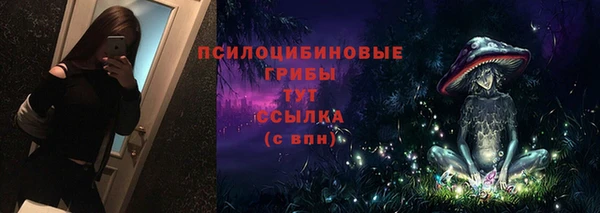 соль ск Белоозёрский