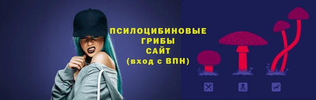 каннабис Белокуриха