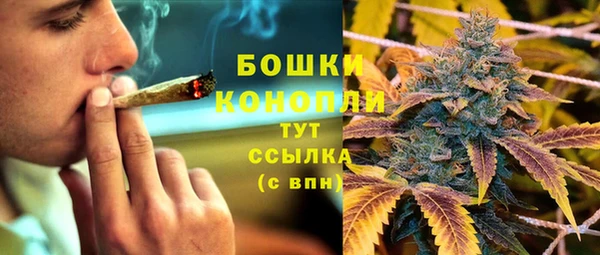 Альфа ПВП Новозыбков