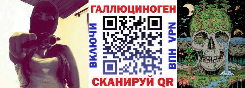 kraken вход  Плёс  Галлюциногенные грибы Cubensis 
